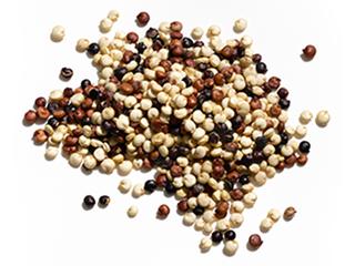 Ingredient closeup