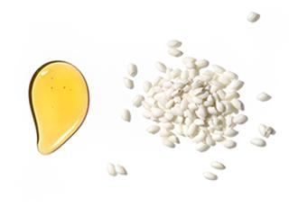 Ingredient closeup