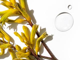 Ingredient closeup