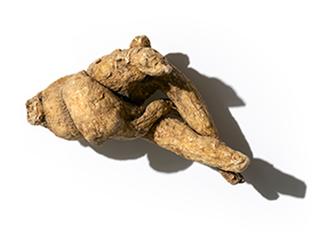 Ingredient closeup