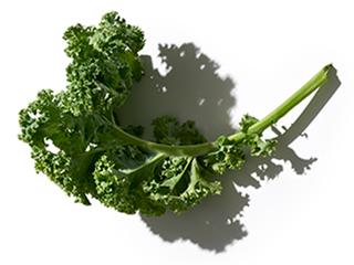 Ingredient closeup